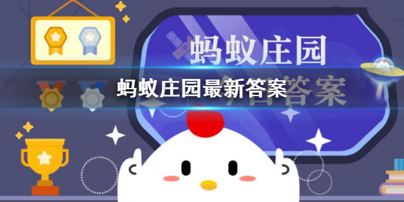 阳光大道通向哪里 阳光大道原来是通往哪里的道路