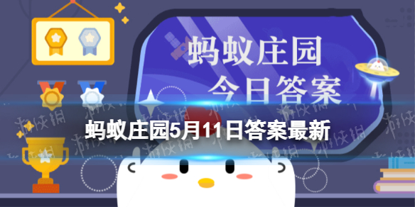 “春困秋乏夏打盹”，哪种饮食有助于缓解疲劳感 蚂蚁庄园5月11日答案最新