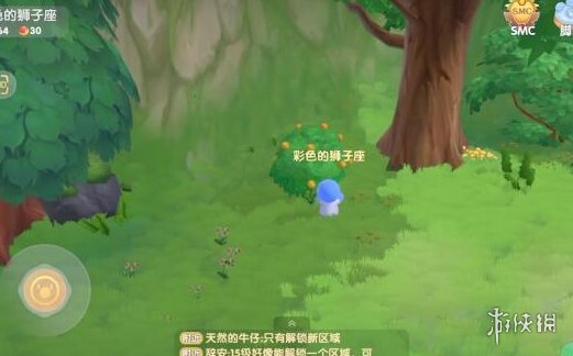 《摩尔庄园手游》橙色浆果在哪采 橙色浆果采集地点推荐