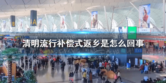 清明流行补偿式返乡是怎么回事 补偿式返乡介绍