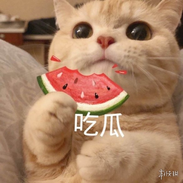 吃瓜表情包