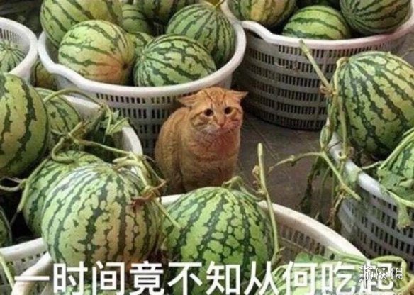 吃瓜表情包