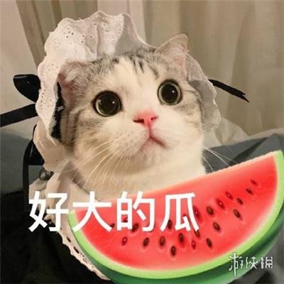 吃瓜表情包